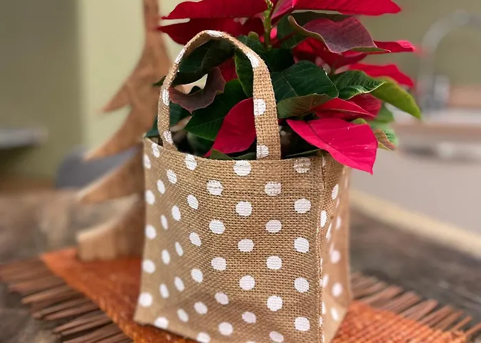 아파트 Creton -la Casa Nel Cuore Della Citta