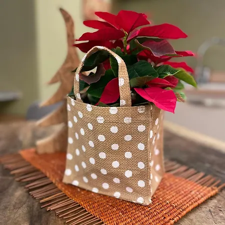 公寓 Creton -la Casa Nel Cuore Della Citta